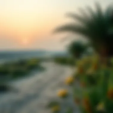 Serene Nature Trails of Jubail Island Nature trails and landscapes on Jubail Island
