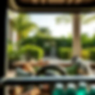 Lush Living in Full Cart Vibrant outdoor lifestyle scene in Full Cart with lush greenery