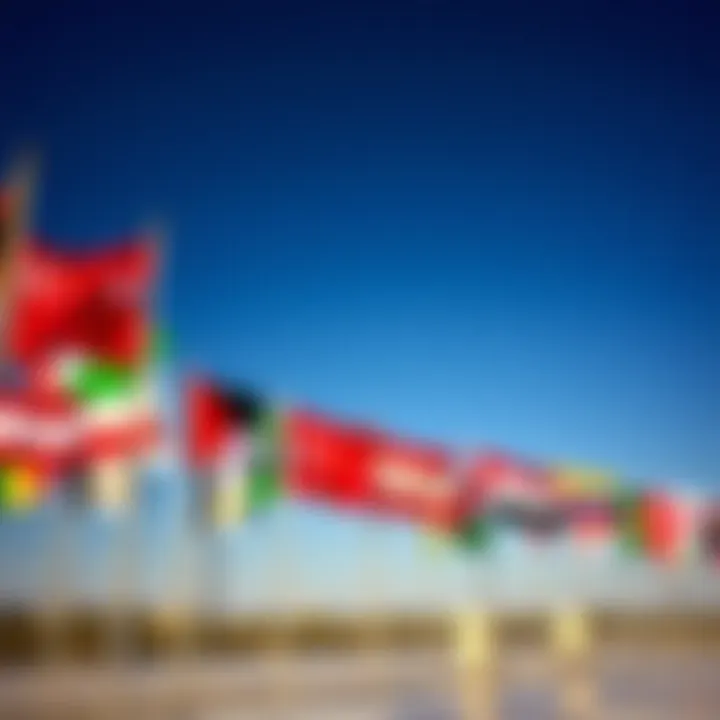 Various flags representing countries that accept Emirates ID for entry