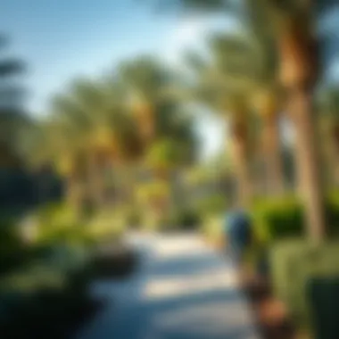 Serenity and Nature Walks in Rashidiya Park Walking paths and serene environment in the park