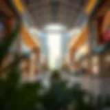 The Best Shopping Experiences in Dubai Introduction