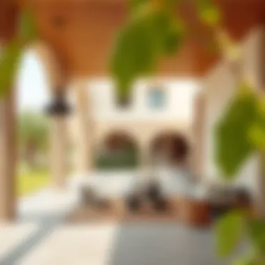 Notable The Green Oasis of Liwa: Unveiling Its Essence and Opportunities Notable The Green Oasis of Liwa: Unveiling Its Essence and Opportunities