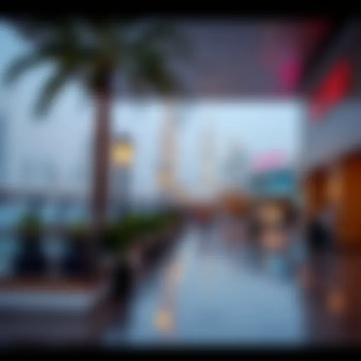 Tourist Attractions in Dubai for Families Summary