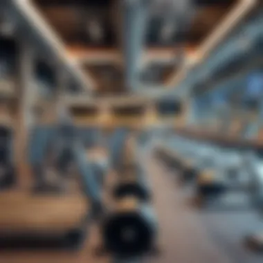 Modern Fitness Facilities in Dubai Diverse gym equipment showcasing modern fitness facilities